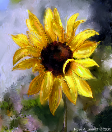 Sunflower