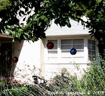Tree Decorations