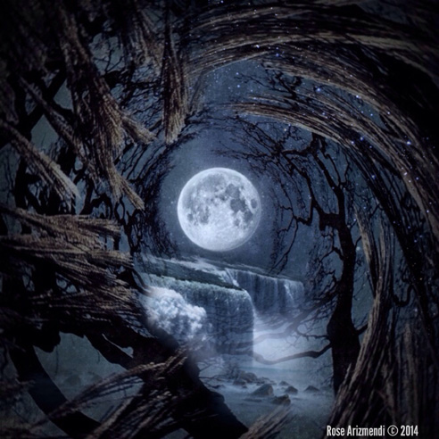 moon-driedgrass-water-2014r